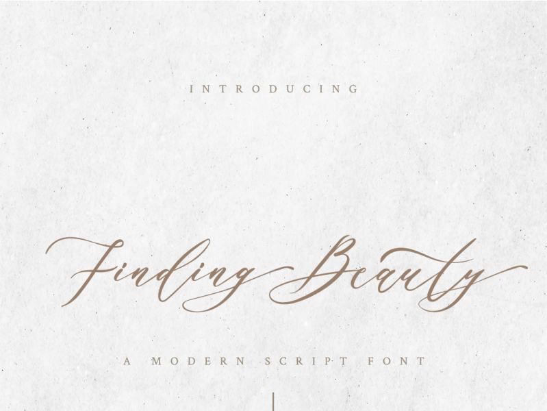 Finding Beauty - Modern Script Font by Din Studio on Dribbble