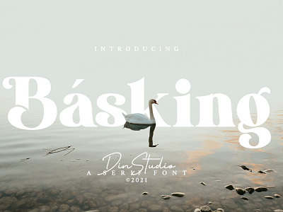 Basking - Serif font branding design font fonts logo logo type modern font serif fonts typography