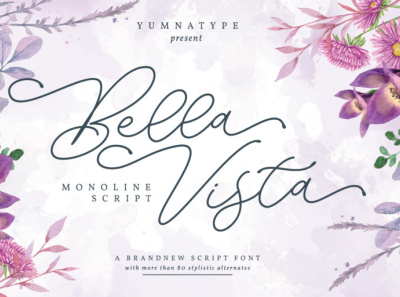 Bella Vista - Handwritten font branding font fonts graffiti font handlettering lettering script script font signature font typography