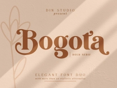 Bogota - Bold serif font branding design font fonts icon logo logo type typography ui vector