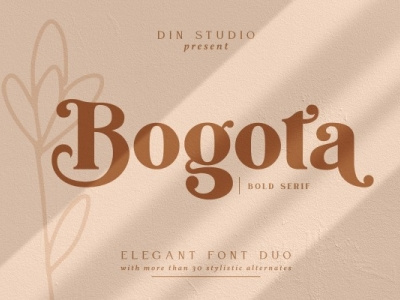 Bogota - Bold serif font branding design font fonts icon logo logo type typography ui vector