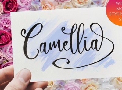 Camellia - Handwritten font branding design font fonts handlettering lettering logo type script script font signature font