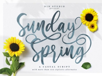 Sunday Spring - Beautiful font beautiful font branding font fonts handlettering icon lettering logo logo type script font signature font sweet font