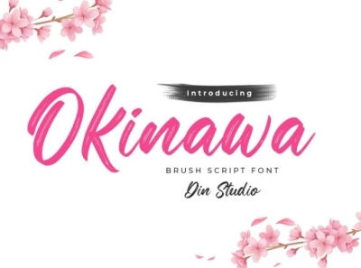 Okinawa - Handwritten brush font branding brush font fonts handlettering lettering logo type natural script font signature font typography