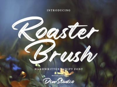 Roaster Brush - Handwritten font branding font fonts handlettering lettering logo type script script font signature font typography