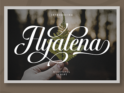 Ayalena - Calligraphy Font