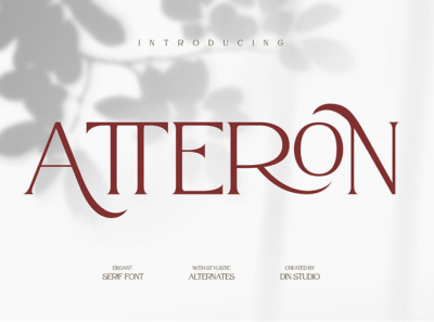 Atteron - Modern serif font branding clean display font fonts logo type serif typography
