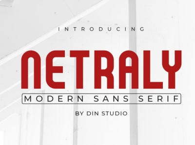 Netraly - Modern sans serif font bold branding computer design display font fonts logo logo type moden sans serif font techno typography