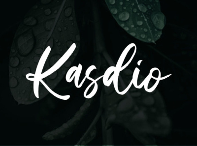 Kasdio - Handwritten font branding font fonts handlettering lettering logo logo type script script font signature font