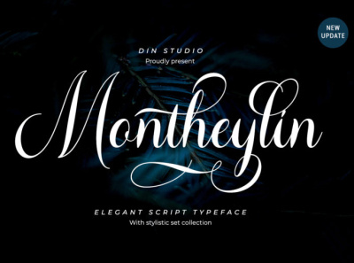 Montheylin - Elegant script font