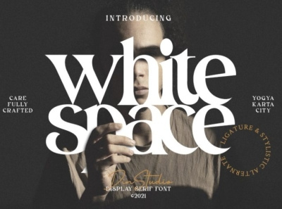 White Space - Display Serif Font