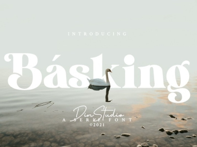 Basking - A Serif Font