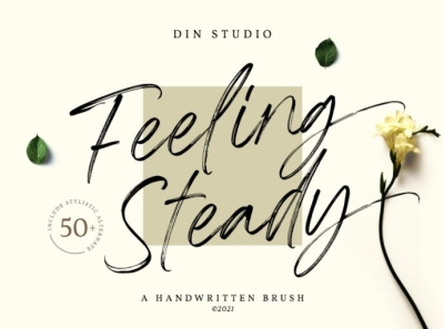 Feeling Steady - Handwritten Brush Font branding brush brush font font fonts handlettering handwritten handwritten font lettering logo logo type typography