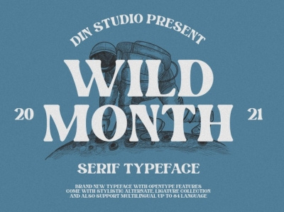 WILD WOLD - A New Serif Font branding design font fonts logo logo type modern font new font serif font typography