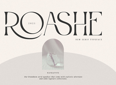 ROASHE - A New Serf Typeface brand font branding design font fonts logo logo type modern font new font serif serif font