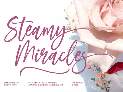 Steamy Miracles - Handwritten Font