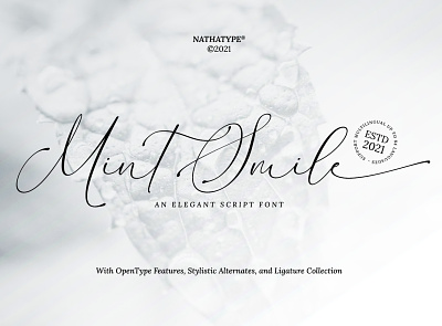 Mint Smile - Script Font branding design font fonts logo logo type typography ui