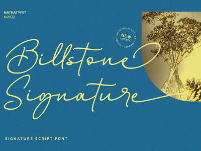 Billstone Signature - Script Font branding design font fonts logo logo type typography ui