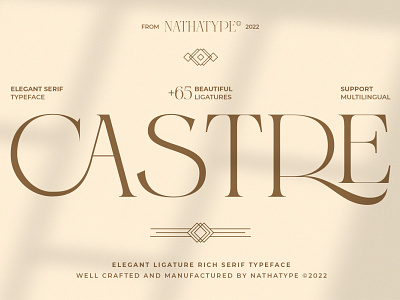 Castre - Serif Font branding design font fonts logo logo type typography ui