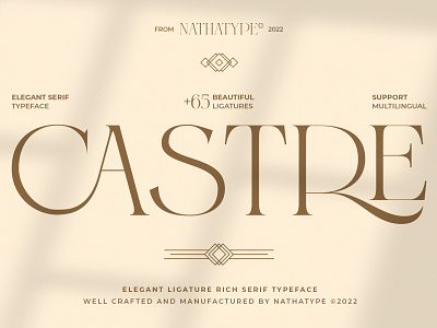 Castre - Serif Font