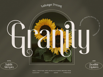 Granity - Sans Serif Font branding design font fonts logo logo type typography ui