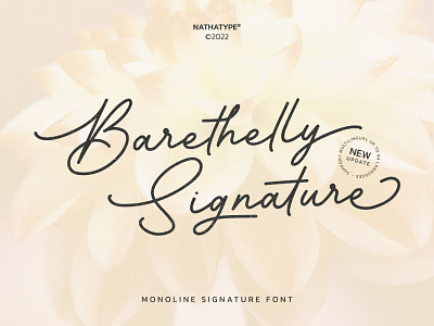 Barethelly Signature - Handwritten Font branding design font fonts logo logo type typography ui