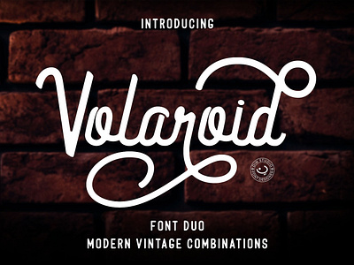 Volaroid Font Duo branding fonts handlettering lettering logo type typography ui