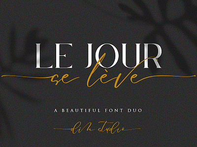 Le Jour - Font Duo branding design fonts handlettering lettering logo type script script font signature font typography