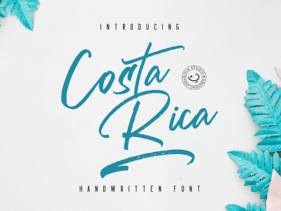 Costa Rica - Brush Font branding brush font design fonts handlettering lettering logo type script script font signature font typography