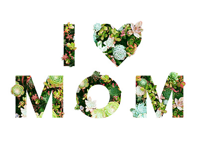 I HEART MOM arkansas church graphic photoshop succulents typography