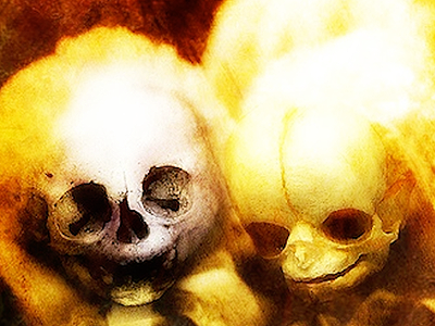 The Attic (Sneak Peek) digital art fetal skulls photo manipulations skull skulls