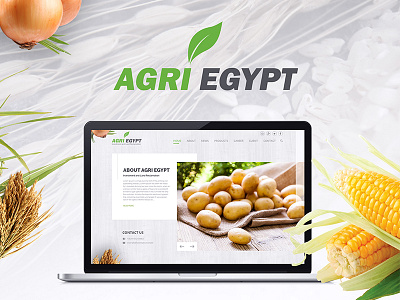 Agri Egypt agency agri design egypt psd site templete theme ui ux