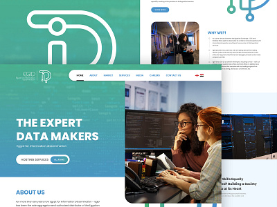 EGID agency data design illustration psd server ui ux web