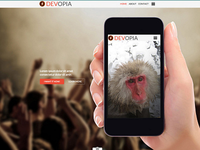 Devopia HTML5/CSS3 Responsive Web Template