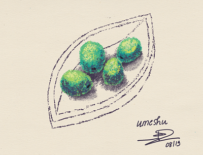 Umeshu affinitydesigner crayons food illustration ipad pro ipadillustration