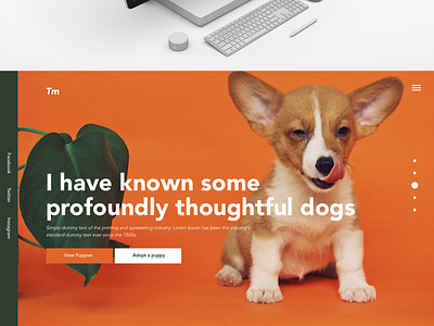 Puppy One 002 002 africa animals daily 100 challenge daily challange design landing page ui ui ux ux