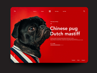 Chineese Pug daily 100 daily 100 challenge daily challange dailyui design landing page ui ui ux ux