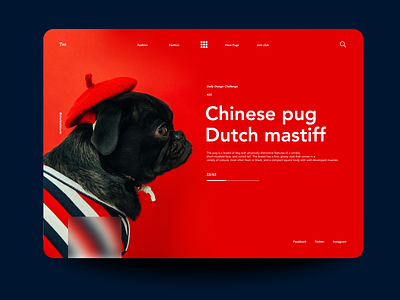 Chineese Pug2 charles daily 100 daily 100 challenge daily challange dailyui design landing page photoshop pug ui ui ux ux