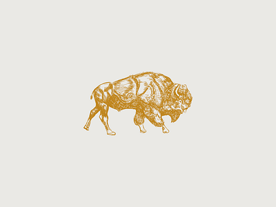 Brian Bison alberta bison gold illustration lineart