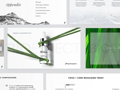 BIOEFFECT Brand Diagnostics beauty brand branding deck design green presentation research