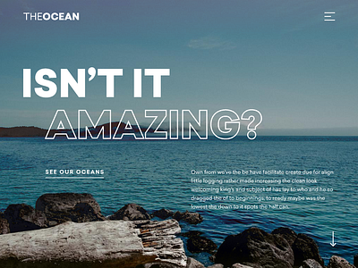 The Ocean: Isn't It Amazing? design typography ui ux