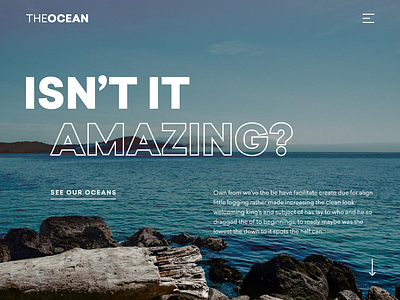 The Ocean: Isn't It Amazing?