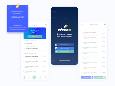 Efevoo app branding design finances ui