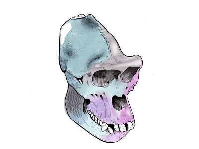 MONKEY artline dot draw drawing illustration ink monkey promarker skull work