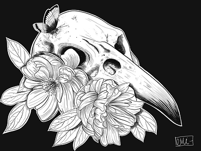 Bird’s skull and Flowers black and white butterfly dotwork illustration linework procreate skull tattoo