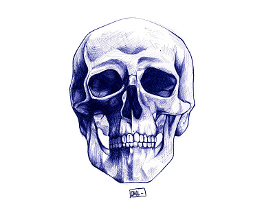 Skull face ballpoint ballpoint ballpoint pen blue faber castell fabercastell ink ink art ink drawing ink illustration realism skull