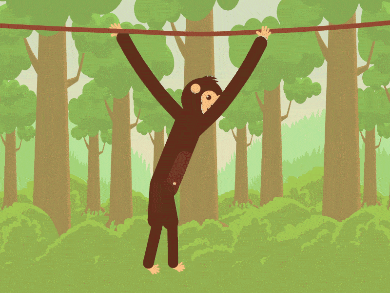 Monkey Playing animation forest illustration monkey swing motion graphics