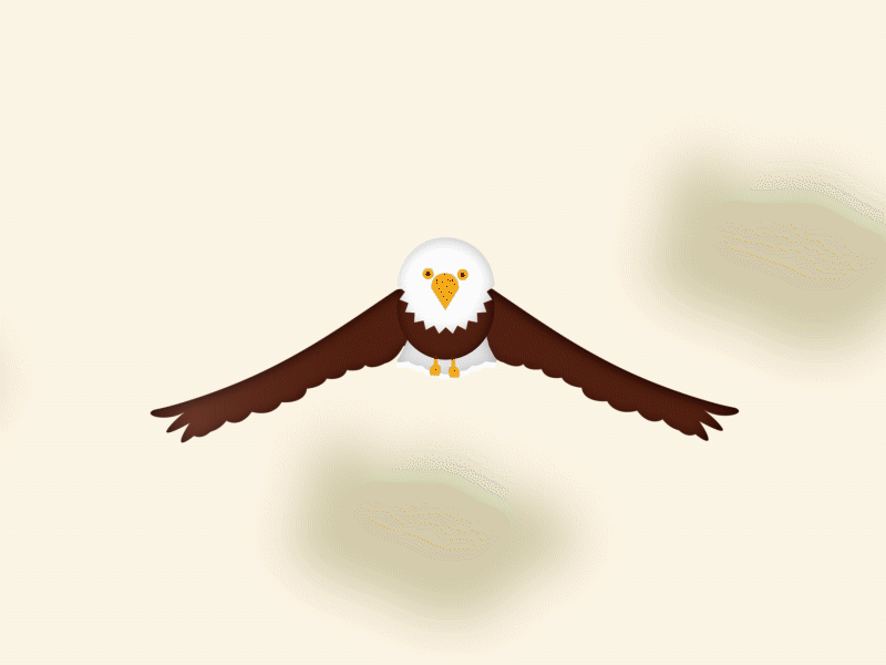 Eagle Flying 2d animation adobe aftereffects adobe illustrator bird flying eagle flying motion graphics