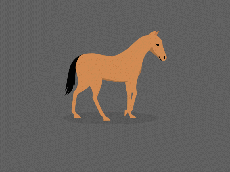 Horse walk cycle 2d animation adobe after effects adobe illustrator horse walk cycle motion graphics