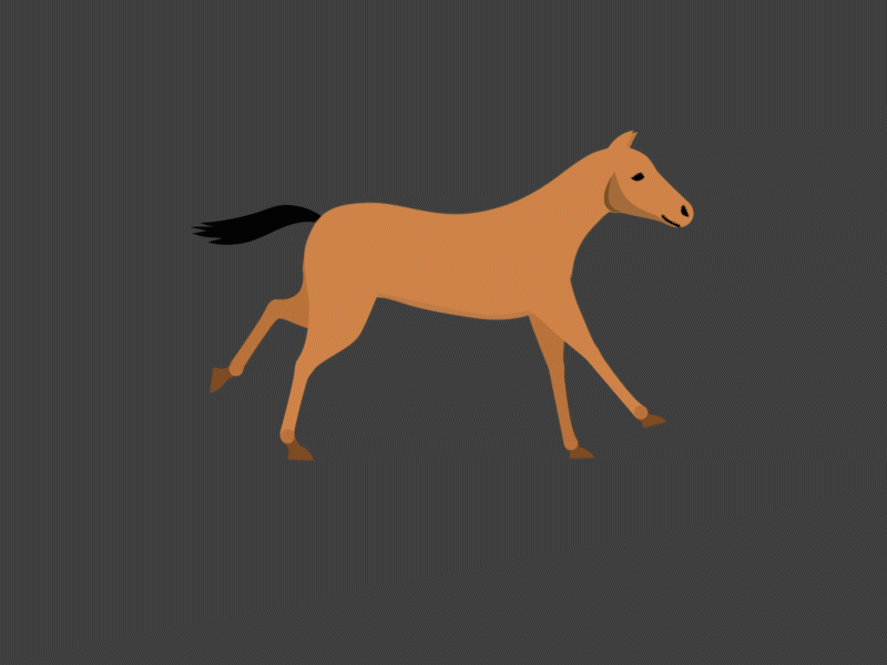horse Run cycle 2d animation 2d style adobe after effects horse run cycle motion graphics